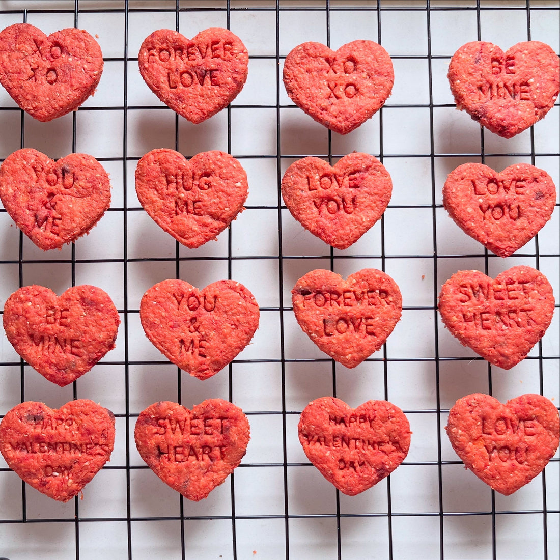 home made heart shaped dog treats with love messages stamped on them
