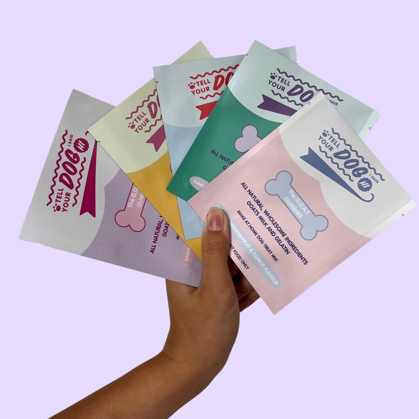 DIY Gummi Dog Treat Kit