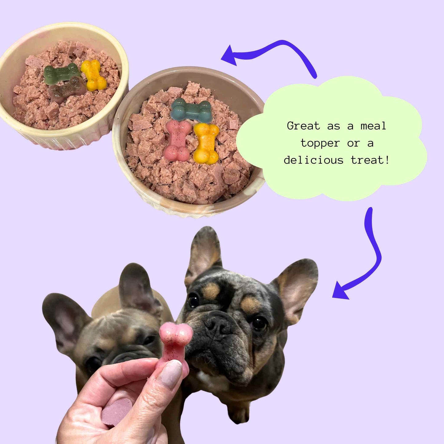 DIY Gummi Dog Treat Kit