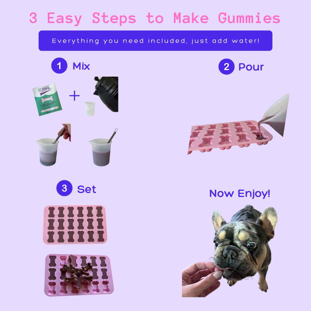 DIY Gummi Dog Treat Kit