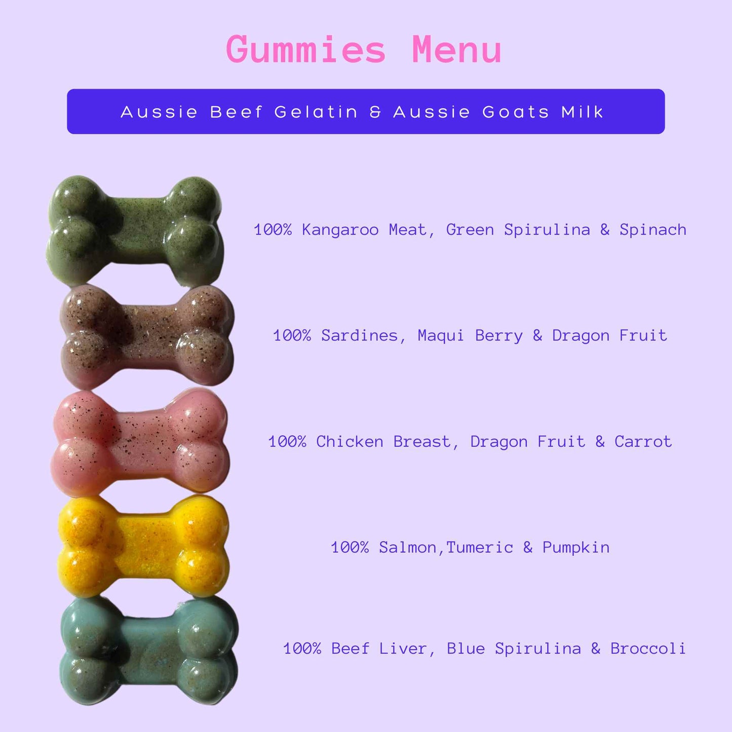 DIY Gummi Dog Treat Kit