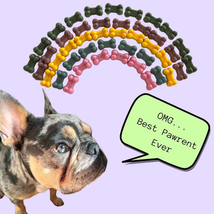 DIY Gummi Dog Treat Kit